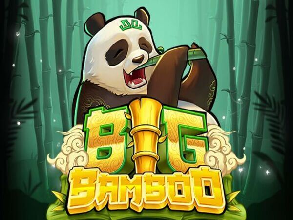 bet999 casino